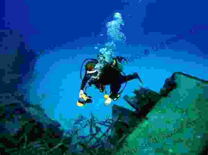 A Diver Photographing A Vibrant Underwater Shipwreck An Old Timer S Scuba Tales