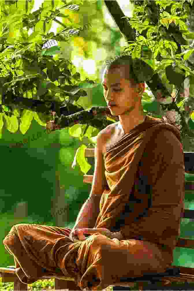 A Monk Meditating In Serene Surroundings Now And Zen: Notes From A Buddhist Monastery: With Illustrations