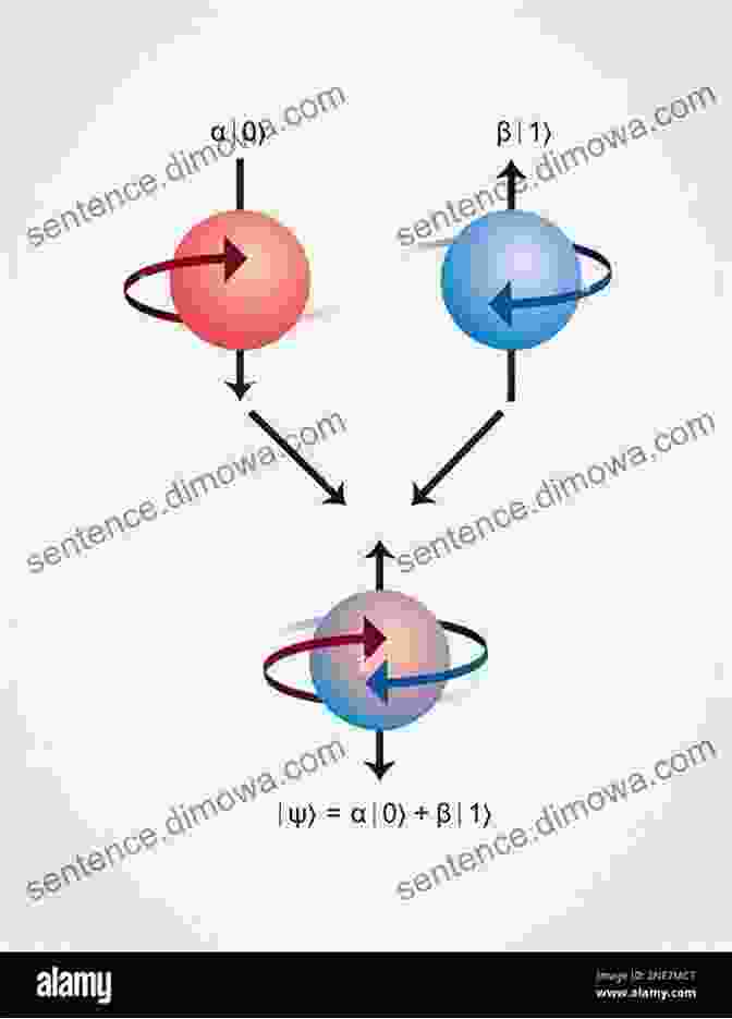 Diagram Illustrating Quantum Superposition And Entanglement Dielectric Relaxation In Biological Systems: Physical Principles Methods And Applications