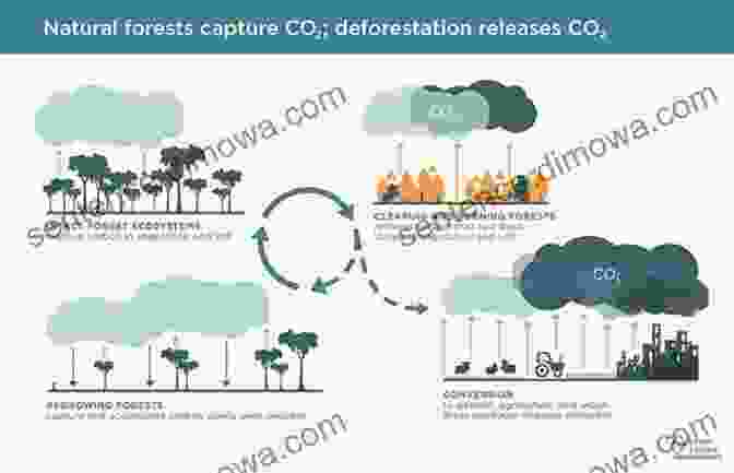 The Environmental Costs Of Development, Including Pollution And Climate Change The Future Of Large Dams: Dealing With Social Environmental Institutional And Political Costs