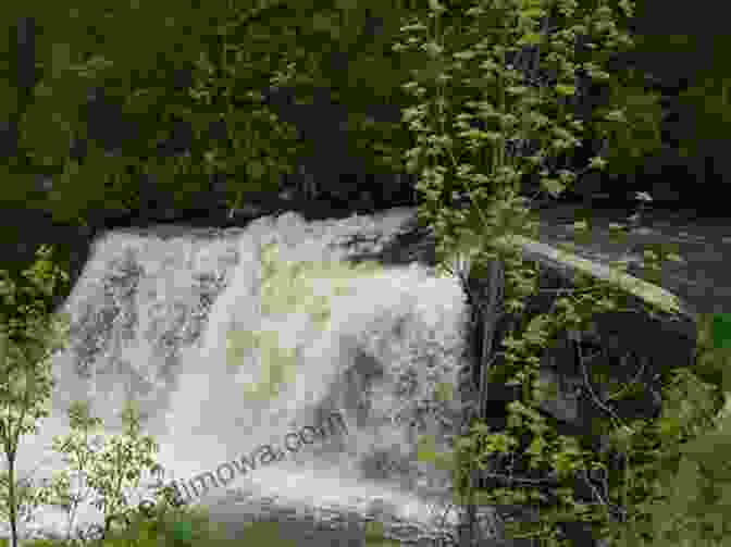 Waterfall Along The Erie Canalway Trail Cycling The Erie Canal Fifth Edition: A Guide To 360 Miles Of Adventure And History Along The Erie Canalway Trail