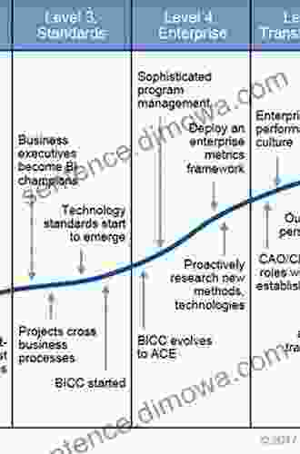 Profiles In Performance: Business Intelligence Journeys And The Roadmap For Change