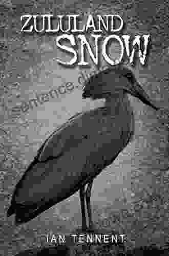 Zululand Snow: A coming of age historical mystery (The Cruikshank Chronicles 1)