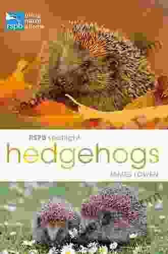 RSPB Spotlight Hedgehogs James Lowen