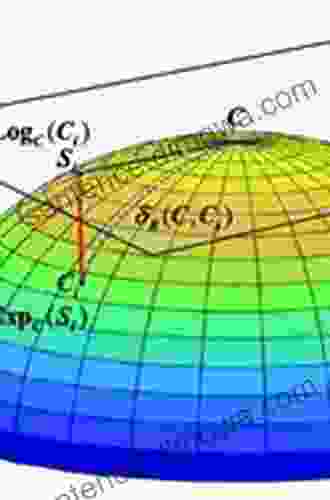 Elliptic Carleman Estimates And Applications To Stabilization And Controllability Volume II: General Boundary Conditions On Riemannian Manifolds (Progress Equations And Their Applications 98)