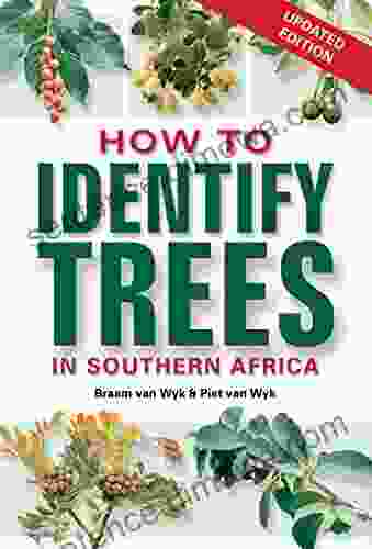 How To Identify Trees In Southern Africa