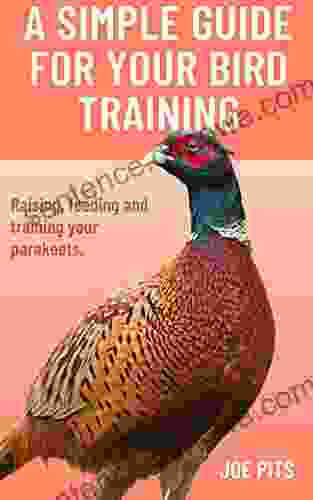 HOW TO TRAIN YOUR BIRD: A COMPLETE GUIDE