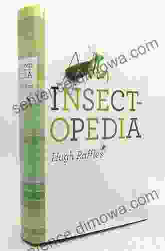 Insectopedia Hugh Raffles