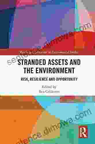 Stranded Assets And The Environment: Risk Resilience And Opportunity (Routledge Explorations In Environmental Studies)