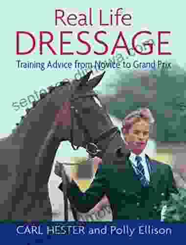 REAL LIFE DRESSAGE: TRAINING ADVICE FROM NOVICE TO GRAND PRIX