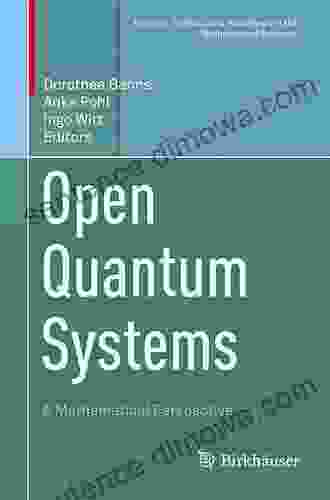 Open Quantum Systems: A Mathematical Perspective (Tutorials Schools And Workshops In The Mathematical Sciences)