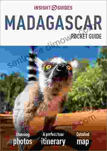 Insight Guides Pocket Madagascar (Travel Guide eBook)