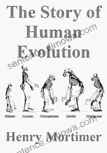 The Story Of Human Evolution